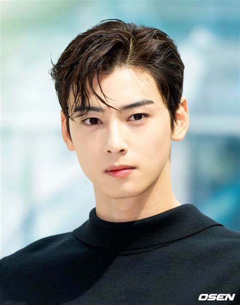 cha eun woo dior|cha eun woo allkpop.